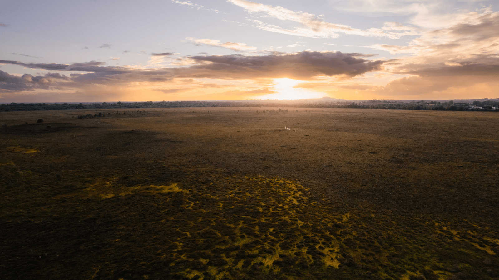 ICOS at EGU26 header