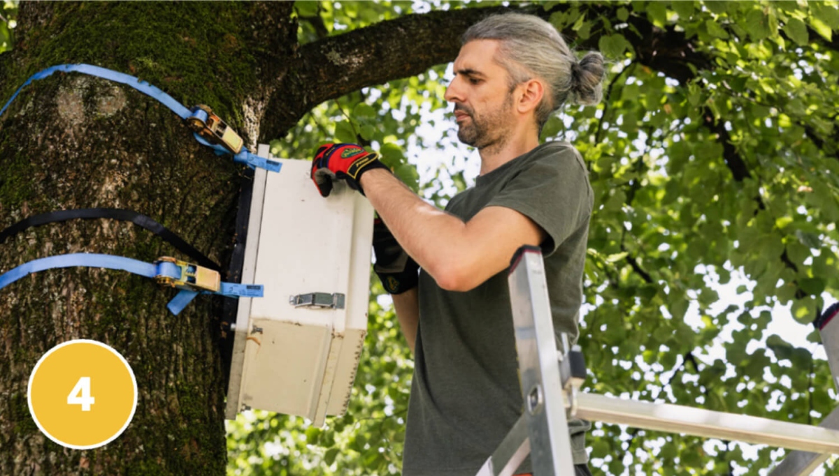 Urban biospheric monitoring