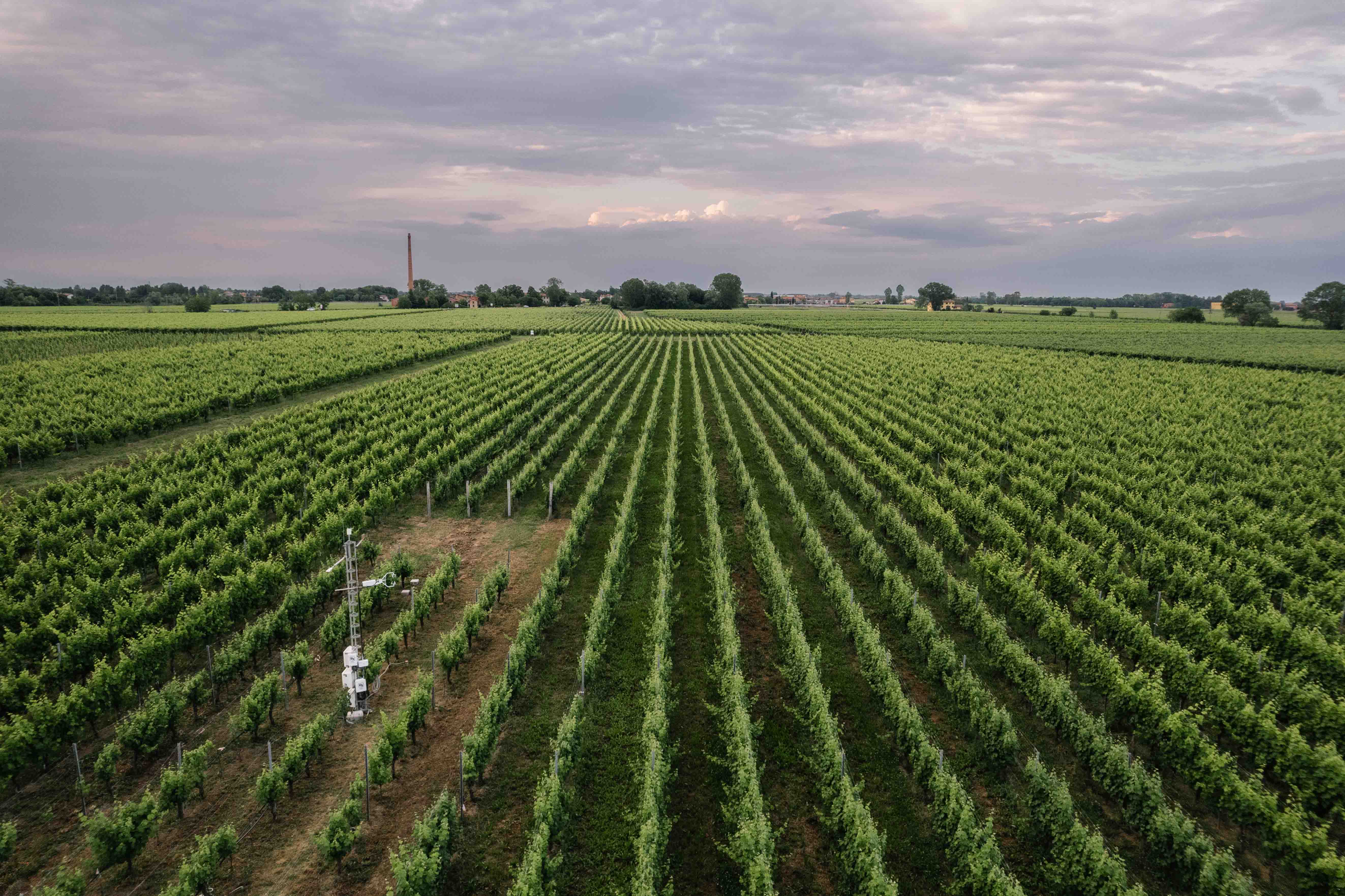 Photo: Pekka Pelkonen, ICOS RI