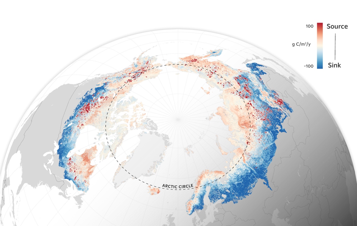 Average terrestrial CO2 balance from 2001-2020 based on a synthesis of field measurements and machine learning models.