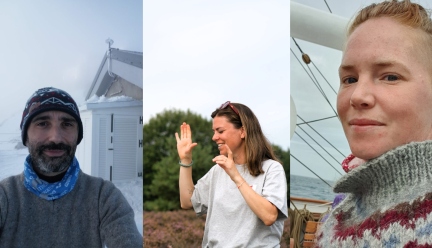 All three MSA chairs